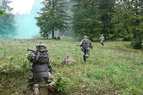 Что случилось с мегой даркнет